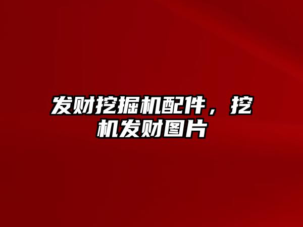 發財挖掘機配件，挖機發財圖片