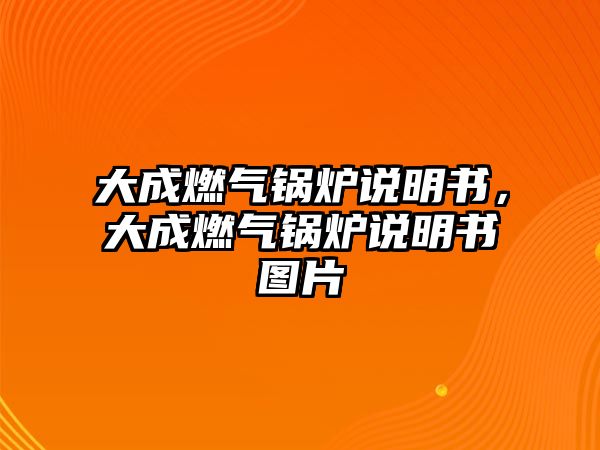 大成燃?xì)忮仩t說明書，大成燃?xì)忮仩t說明書圖片