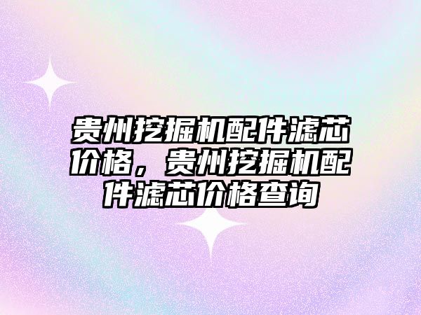 貴州挖掘機配件濾芯價格，貴州挖掘機配件濾芯價格查詢