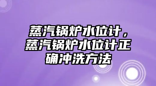 蒸汽鍋爐水位計，蒸汽鍋爐水位計正確沖洗方法