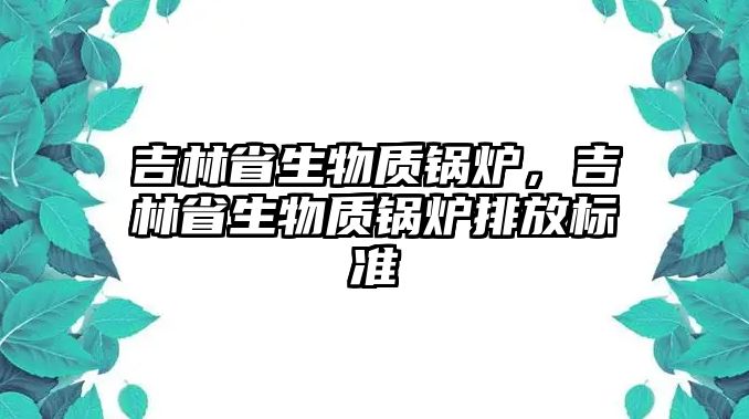 吉林省生物質鍋爐，吉林省生物質鍋爐排放標準