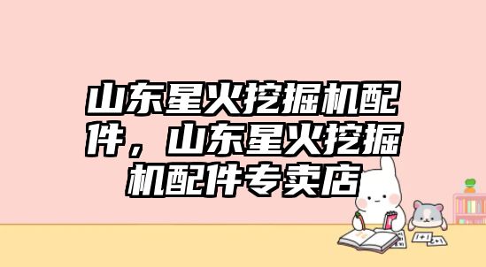 山東星火挖掘機(jī)配件，山東星火挖掘機(jī)配件專賣(mài)店