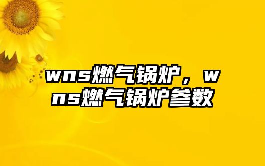 wns燃氣鍋爐，wns燃氣鍋爐參數(shù)