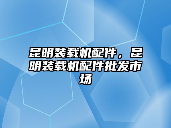 昆明裝載機配件，昆明裝載機配件批發市場