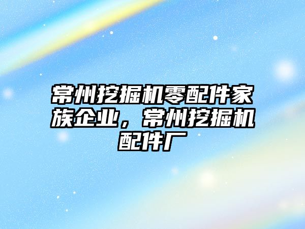 常州挖掘機零配件家族企業，常州挖掘機配件廠