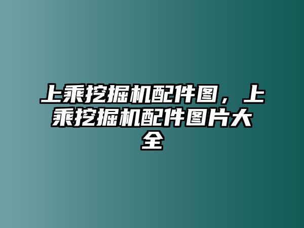 上乘挖掘機配件圖，上乘挖掘機配件圖片大全