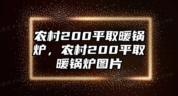 農村200平取暖鍋爐，農村200平取暖鍋爐圖片