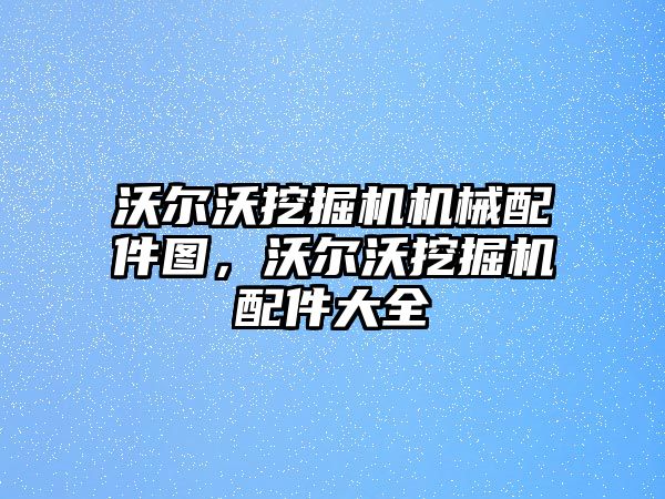 沃爾沃挖掘機機械配件圖，沃爾沃挖掘機配件大全