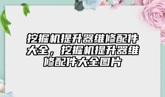 挖掘機提升器維修配件大全，挖掘機提升器維修配件大全圖片