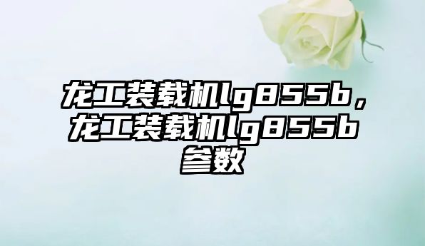 龍工裝載機lg855b，龍工裝載機lg855b參數