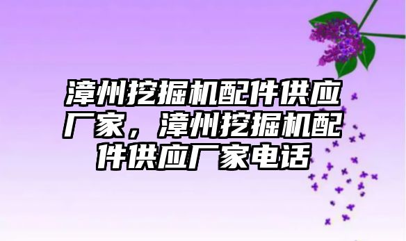 漳州挖掘機配件供應廠家，漳州挖掘機配件供應廠家電話