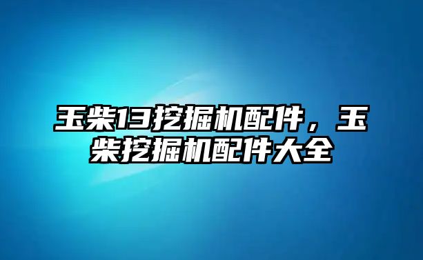 玉柴13挖掘機配件，玉柴挖掘機配件大全