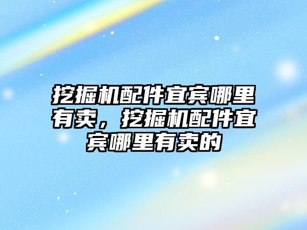 挖掘機配件宜賓哪里有賣，挖掘機配件宜賓哪里有賣的