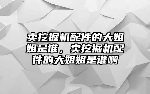 賣挖掘機(jī)配件的大姐姐是誰，賣挖掘機(jī)配件的大姐姐是誰啊