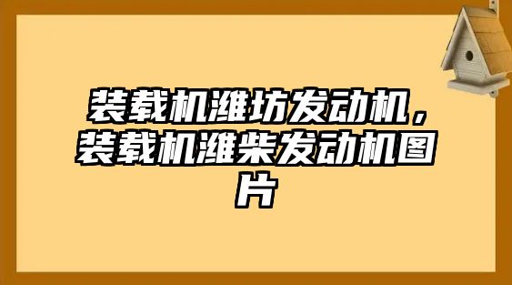 裝載機濰坊發動機，裝載機濰柴發動機圖片