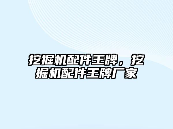 挖掘機配件王牌，挖掘機配件王牌廠家