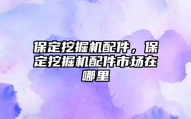 保定挖掘機配件，保定挖掘機配件市場在哪里