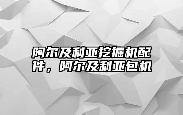 阿爾及利亞挖掘機配件，阿爾及利亞包機