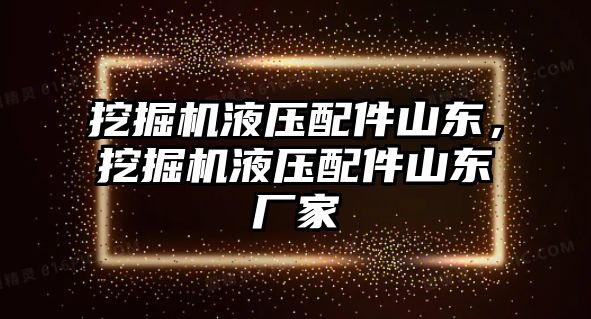 挖掘機液壓配件山東，挖掘機液壓配件山東廠家