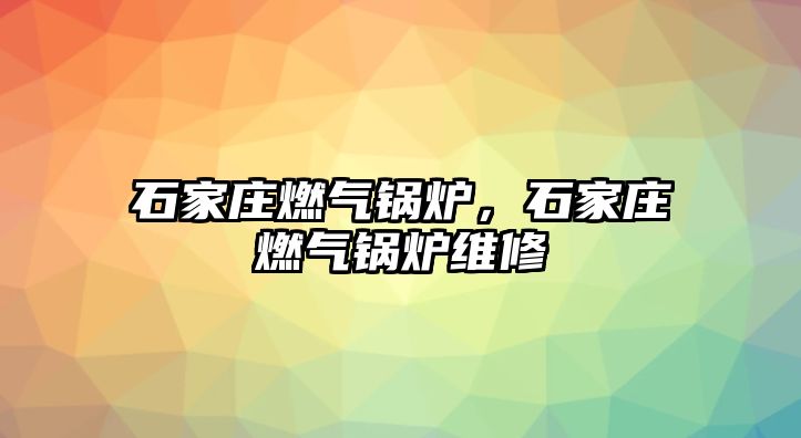 石家莊燃?xì)忮仩t，石家莊燃?xì)忮仩t維修