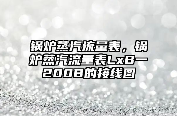 鍋爐蒸汽流量表，鍋爐蒸汽流量表LxB一200B的接線圖