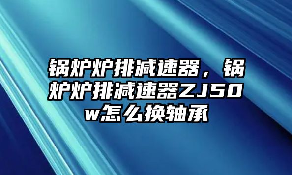 鍋爐爐排減速器，鍋爐爐排減速器ZJ50w怎么換軸承