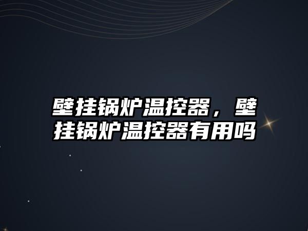 壁掛鍋爐溫控器，壁掛鍋爐溫控器有用嗎