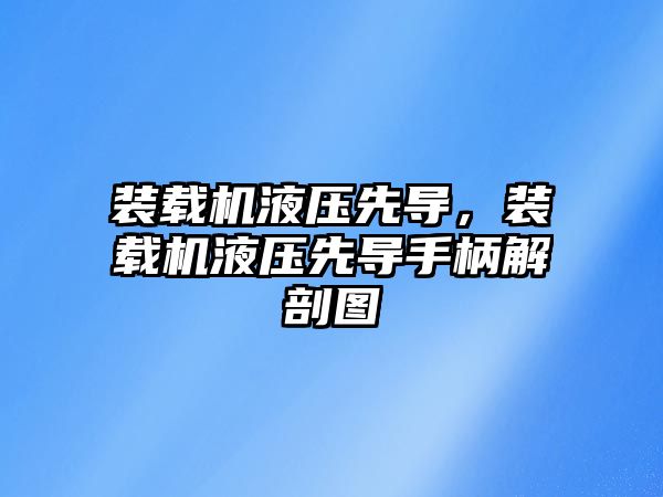 裝載機液壓先導，裝載機液壓先導手柄解剖圖