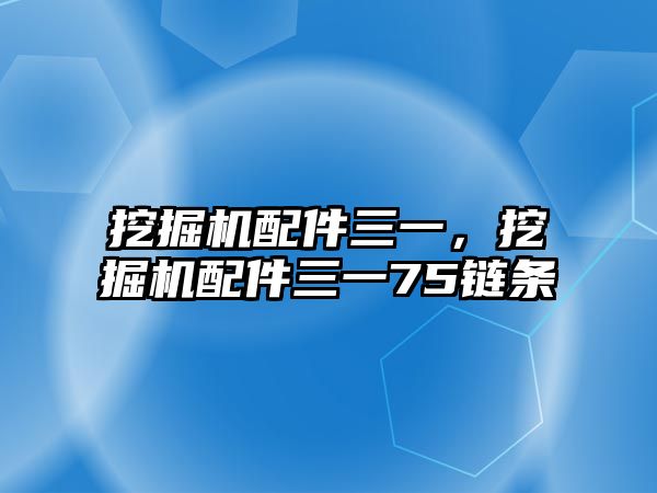 挖掘機配件三一，挖掘機配件三一75鏈條