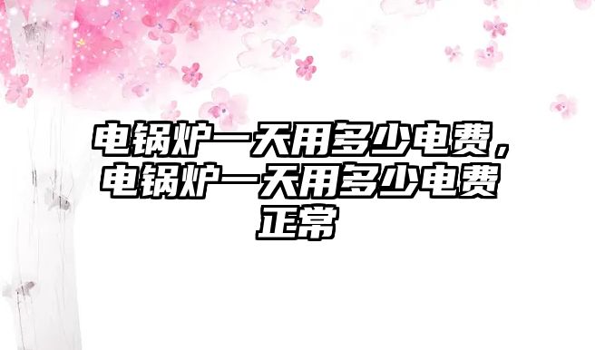 電鍋爐一天用多少電費，電鍋爐一天用多少電費正常