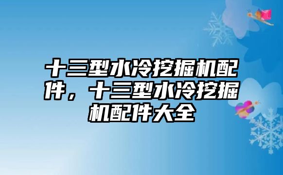 十三型水冷挖掘機配件，十三型水冷挖掘機配件大全