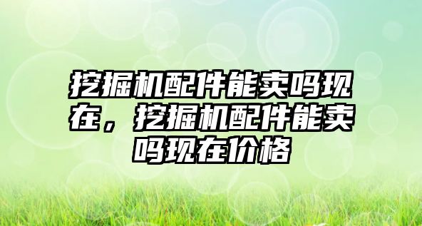 挖掘機配件能賣嗎現在，挖掘機配件能賣嗎現在價格