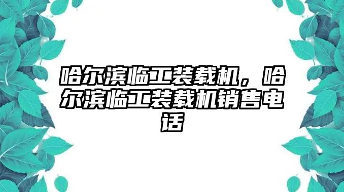 哈爾濱臨工裝載機(jī)，哈爾濱臨工裝載機(jī)銷售電話