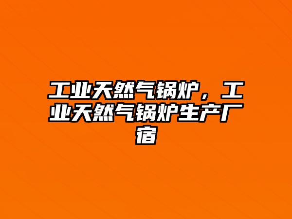 工業天然氣鍋爐，工業天然氣鍋爐生產廠宿