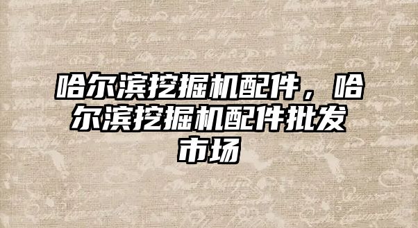 哈爾濱挖掘機配件，哈爾濱挖掘機配件批發市場