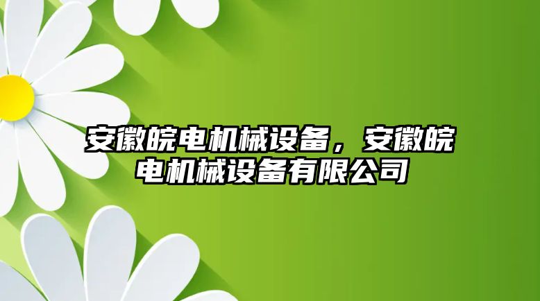 安徽皖電機械設(shè)備，安徽皖電機械設(shè)備有限公司