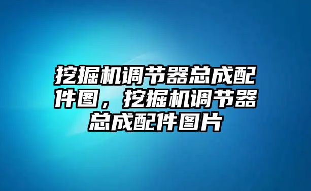 挖掘機調(diào)節(jié)器總成配件圖，挖掘機調(diào)節(jié)器總成配件圖片