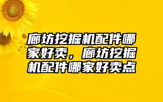 廊坊挖掘機配件哪家好賣，廊坊挖掘機配件哪家好賣點