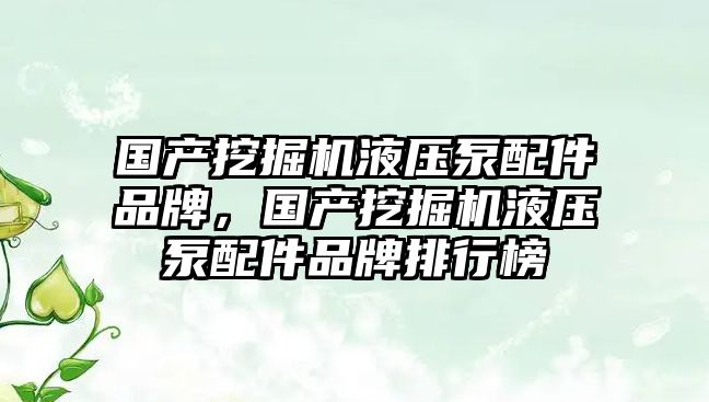 國產挖掘機液壓泵配件品牌，國產挖掘機液壓泵配件品牌排行榜