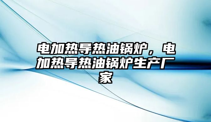 電加熱導熱油鍋爐，電加熱導熱油鍋爐生產(chǎn)廠家