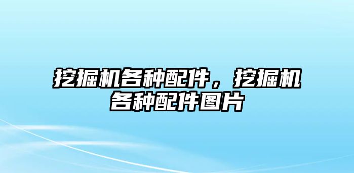 挖掘機(jī)各種配件，挖掘機(jī)各種配件圖片