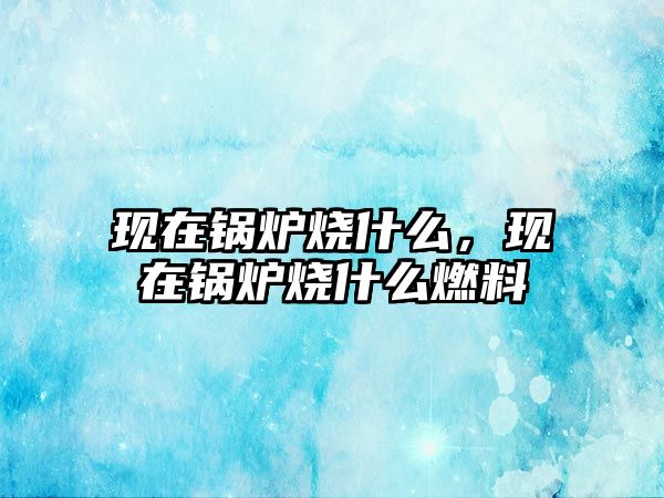 現在鍋爐燒什么，現在鍋爐燒什么燃料