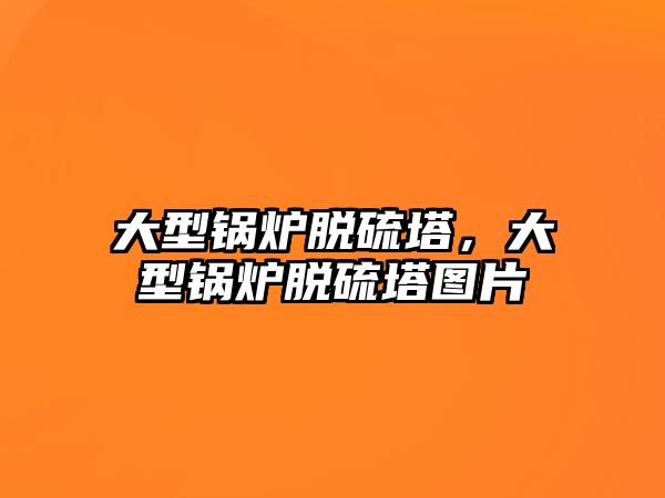 大型鍋爐脫硫塔，大型鍋爐脫硫塔圖片