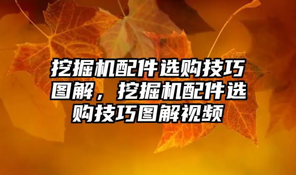 挖掘機配件選購技巧圖解，挖掘機配件選購技巧圖解視頻