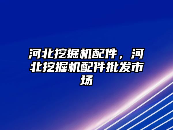 河北挖掘機配件，河北挖掘機配件批發市場