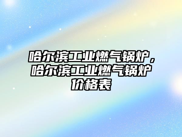 哈爾濱工業(yè)燃?xì)忮仩t，哈爾濱工業(yè)燃?xì)忮仩t價(jià)格表