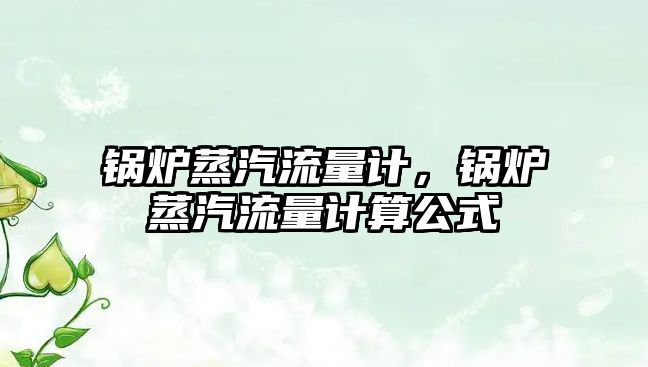 鍋爐蒸汽流量計，鍋爐蒸汽流量計算公式