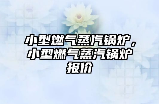 小型燃氣蒸汽鍋爐，小型燃氣蒸汽鍋爐報價