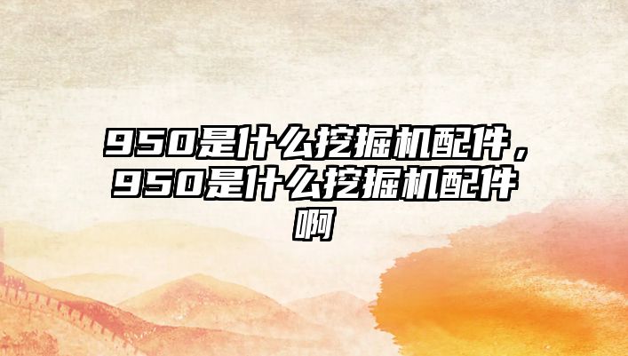 950是什么挖掘機配件，950是什么挖掘機配件啊