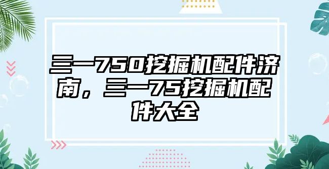 三一750挖掘機配件濟南，三一75挖掘機配件大全